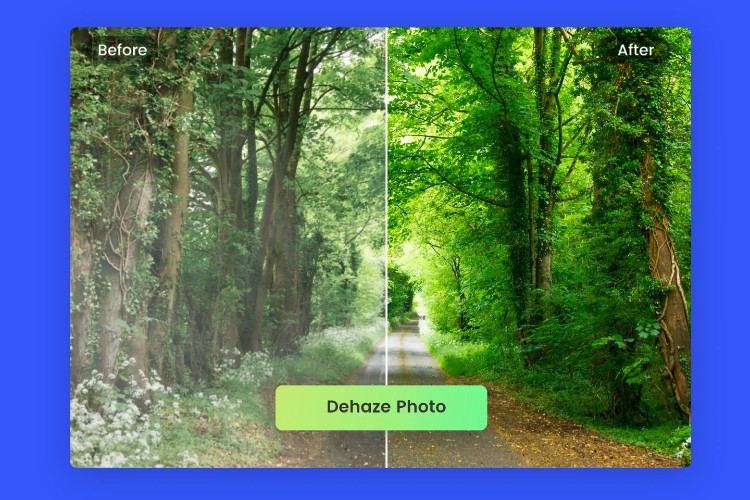 Fotor Photo Enhancer