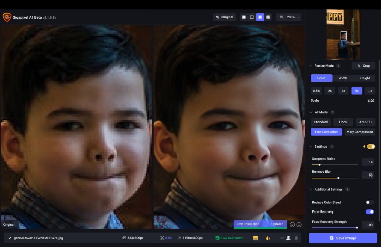 Topaz Labs Gigapixel AI